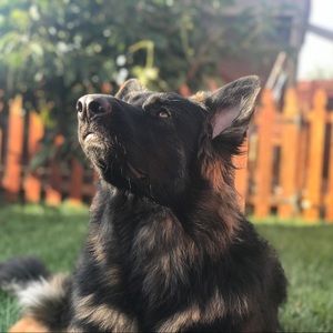 Meet your Posher, Avery